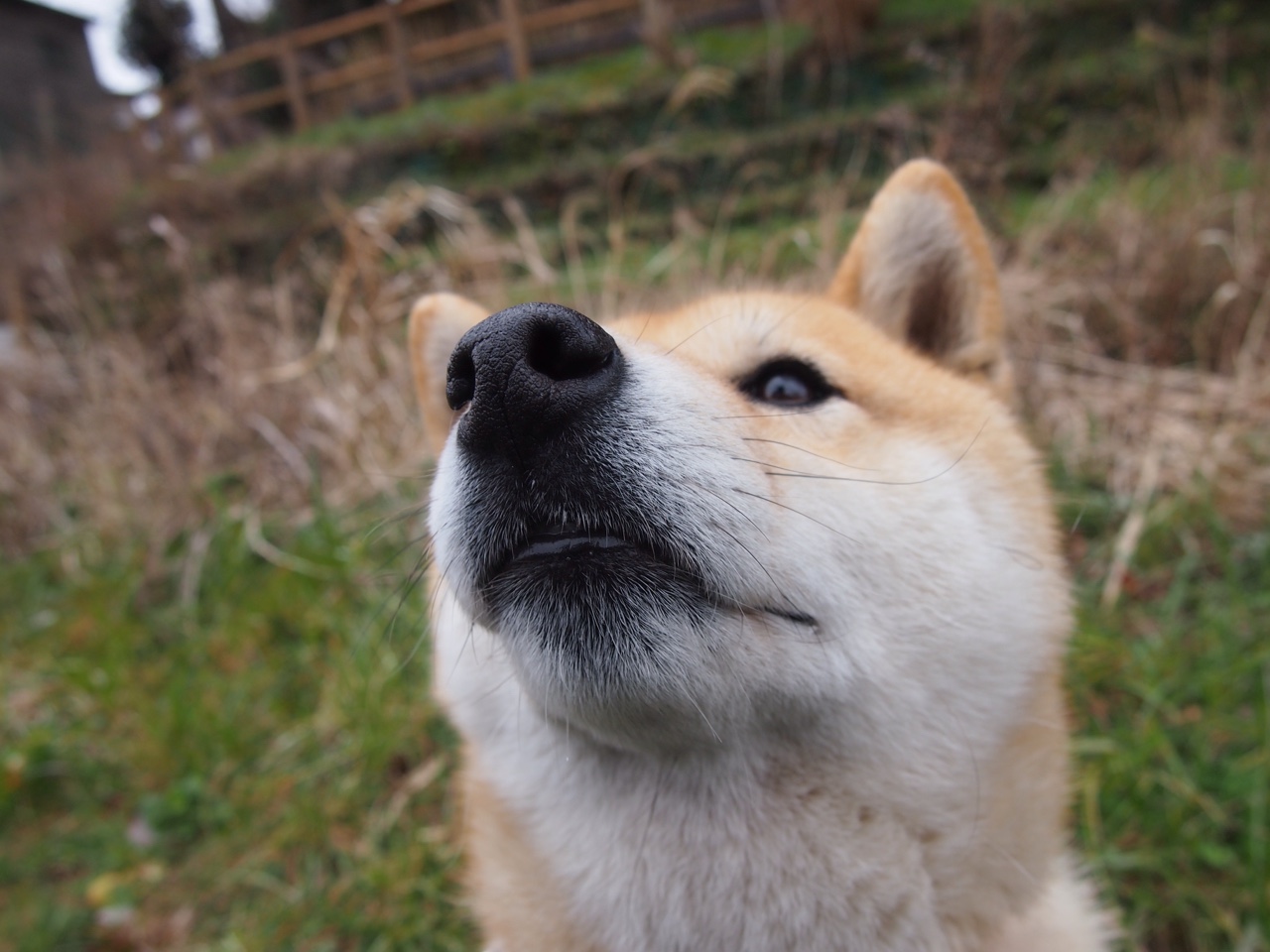 德甲赛季中球员体能衰减趋势与恢复干预研究,德甲身体对抗多吗